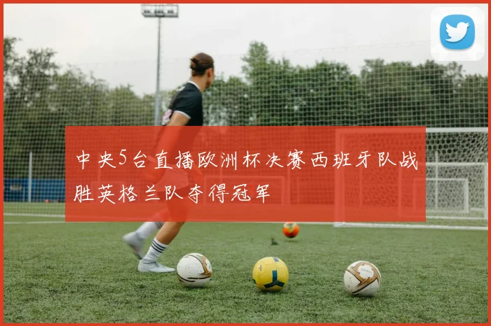 中央5台直播欧洲杯决赛西班牙队战胜英格兰队夺得冠军